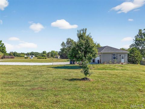 Tiny photo for 19 Wildoradoe Court, Troy, MO 63379 (MLS # 25065473)