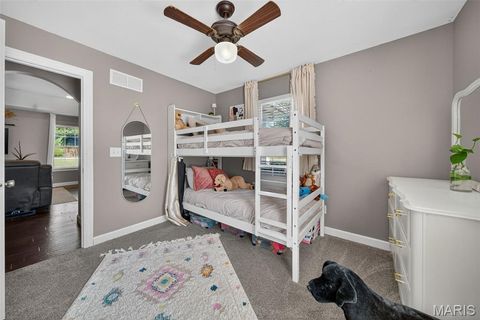 Tiny photo for 19 Wildoradoe Court, Troy, MO 63379 (MLS # 25065473)