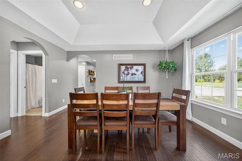 Tiny photo for 19 Wildoradoe Court, Troy, MO 63379 (MLS # 25065473)