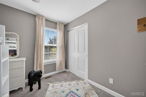 Tiny photo for 19 Wildoradoe Court, Troy, MO 63379 (MLS # 25065473)