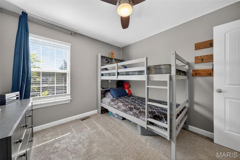 Tiny photo for 19 Wildoradoe Court, Troy, MO 63379 (MLS # 25065473)