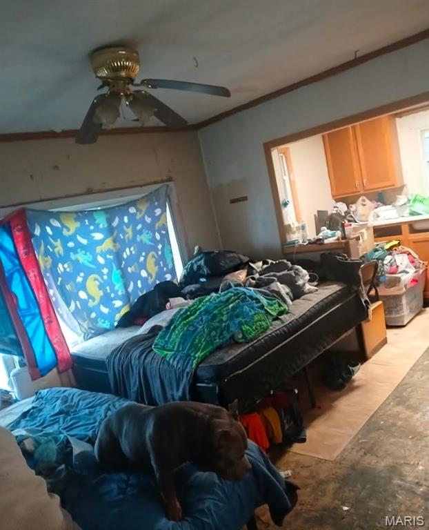 Catawissa - Residential