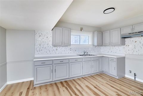 Tiny photo for 2420 Fowler Avenue, Unincorporated, MO 63114 (MLS # 26018277)