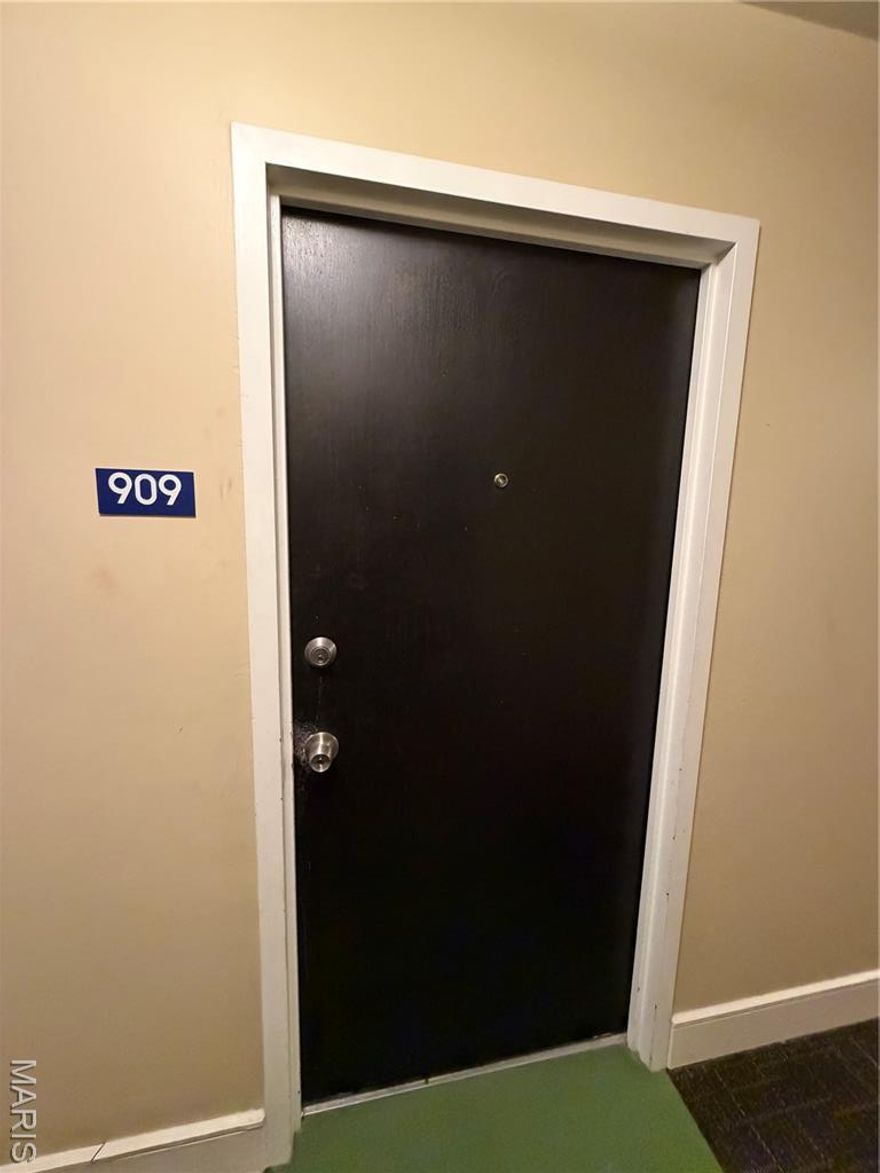 **Chic Studio Living at Blu City Lofts**

Experience the best of Downtown St. Louis living in this stylish studio at Blu City Lofts. Designed with modern finishes and an efficient layout, this space offers the perfect blend of comfort, character, and urban convenience—all at an affordable price.

The open-concept design makes the most of every square foot, creating a seamless flow between living, dining, and sleeping areas. Luxury vinyl plank flooring adds a sleek, contemporary touch throughout. The kitchen stands out with frosted glass cabinetry, granite countertops, and stainless-steel appliances—including a gas stove, a true find in loft-style living. Whether you're cooking at home or entertaining friends, this kitchen delivers both style and function.

A spacious closet provides ample storage, helping keep your living space organized and clutter-free. The full bath features modern finishes that complement the unit’s clean, updated aesthetic.

Blu City Lofts offers residents access to a fitness center, coin-operated laundry, and secure building entry for added peace of mind. Located in the heart of downtown, you’ll enjoy easy access to dining, entertainment, public transit, and everything the city has to offer.

Affordable. Modern. Convenient.
Schedule your showing today!