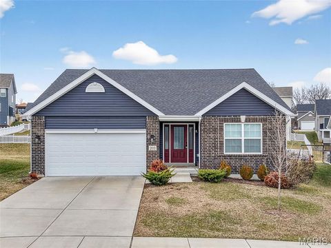 Photo of 203 Homestretch Lane, Wentzville, MO 63385 (MLS # 26011104)