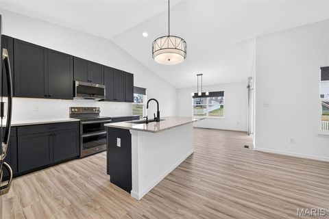 Tiny photo for 203 Homestretch Lane, Wentzville, MO 63385 (MLS # 26011104)