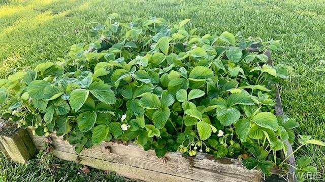 OT of Perry - Residential