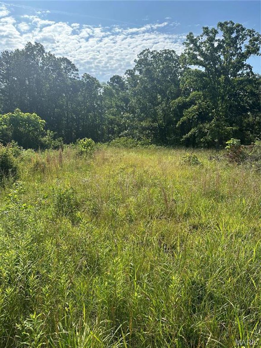 Beautiful 8.34 acres on major hwy between Doniphan and Grandin. You can build anything you want on this prime property.Almost all wooded, but does have a cleared area. Electric and phone at front of the property and several feet of highway frontage.