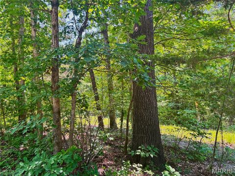 Tiny photo for 20 +/- Acres Fire Tower Rd., Unincorporated, MO 63383 (MLS # 25051480)