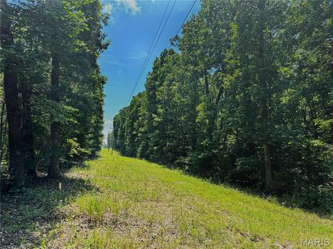 Tiny photo for 20 +/- Acres Fire Tower Rd., Unincorporated, MO 63383 (MLS # 25051480)