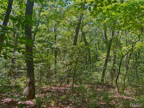 Photo of 20 +/- Acres Fire Tower Rd., Unincorporated, MO 63383 (MLS # 25051480)