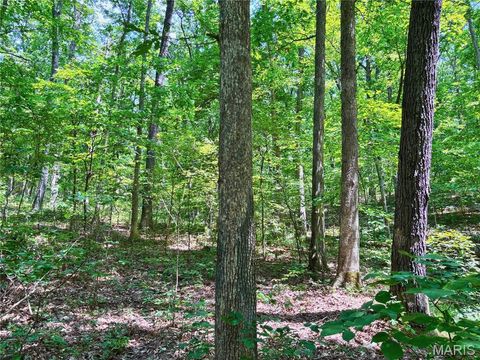 Tiny photo for 20 +/- Acres Fire Tower Rd., Unincorporated, MO 63383 (MLS # 25051480)