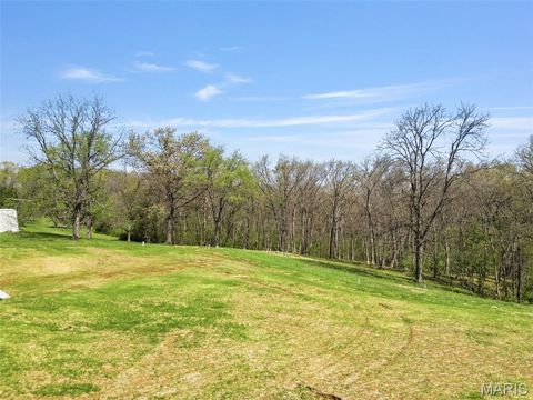 Tiny photo for 17620 Highway F, Bowling Green, MO 63334 (MLS # 26027708)