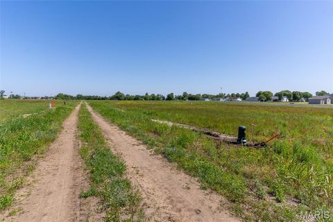 Tiny photo for 0 Julie Drive, Miner, MO 63801 (MLS # 26030869)