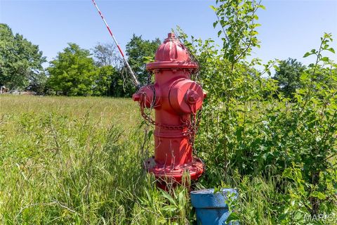 Tiny photo for 0 Julie Drive, Miner, MO 63801 (MLS # 26030869)