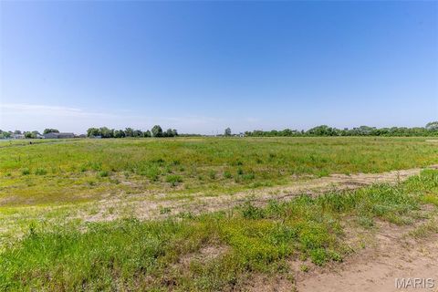 Tiny photo for 0 Julie Drive, Miner, MO 63801 (MLS # 26030869)