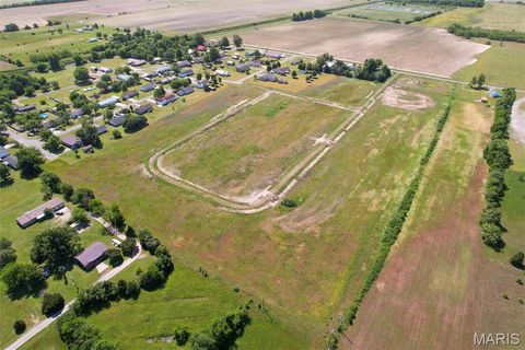 Tiny photo for 0 Julie Drive, Miner, MO 63801 (MLS # 26030869)
