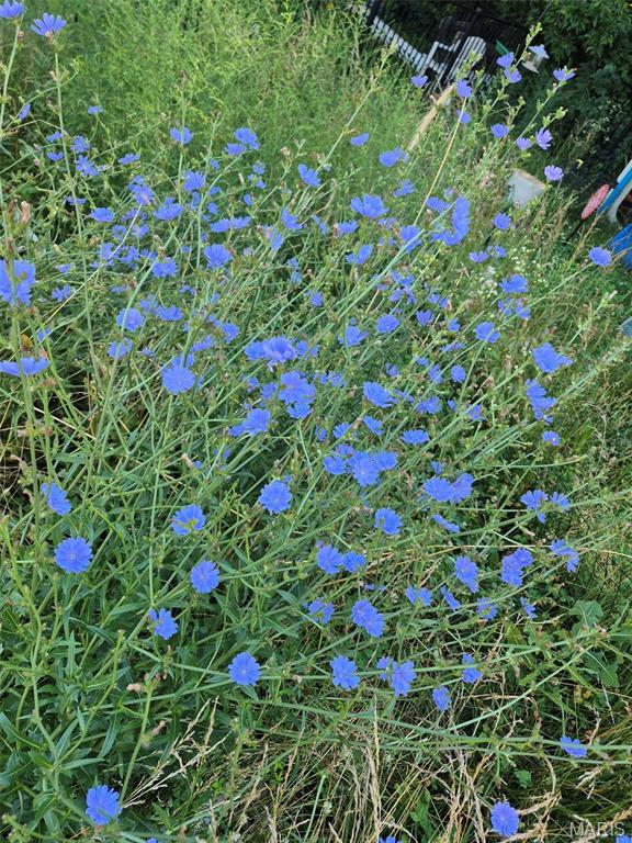 Stonebridge - Residential