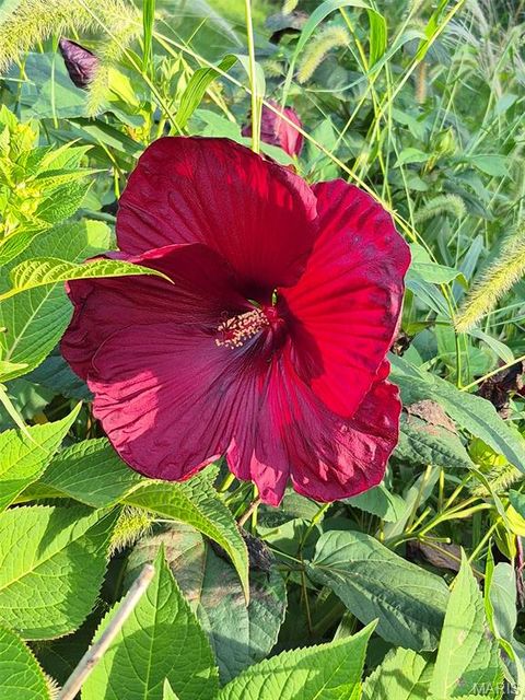 Tiny photo for 394 Parkway Drive, Troy, MO 63379 (MLS # 26021394)