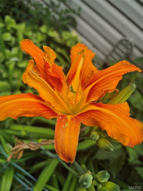 Tiny photo for 394 Parkway Drive, Troy, MO 63379 (MLS # 26021394)