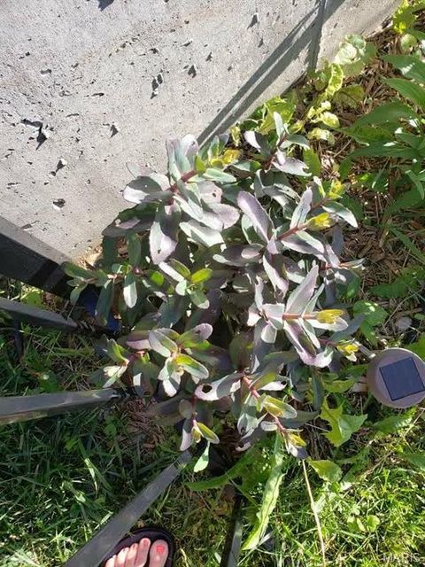 Tiny photo for 394 Parkway Drive, Troy, MO 63379 (MLS # 26021394)