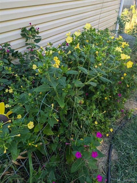 Tiny photo for 394 Parkway Drive, Troy, MO 63379 (MLS # 26021394)