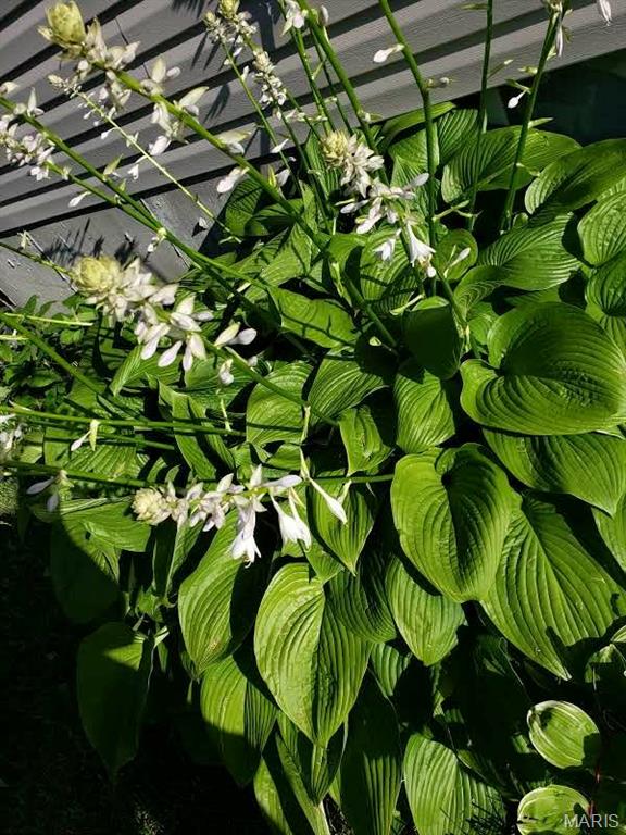 Stonebridge - Residential