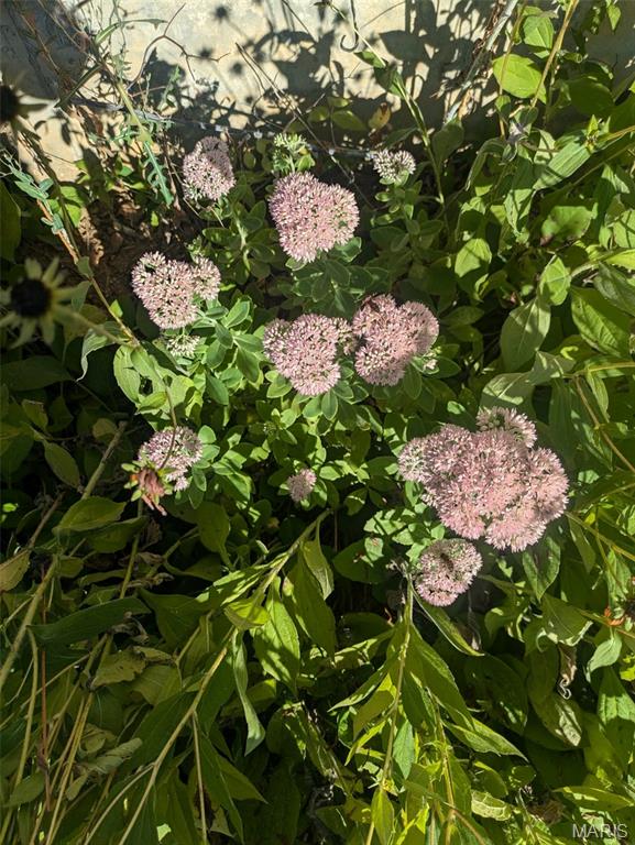 Stonebridge - Residential