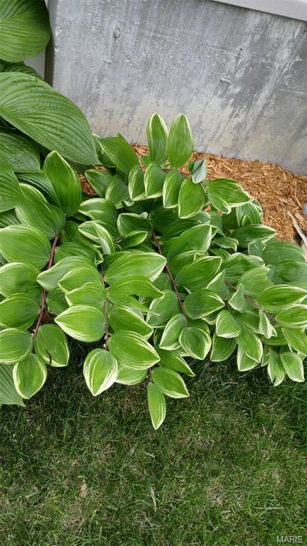 Stonebridge - Residential