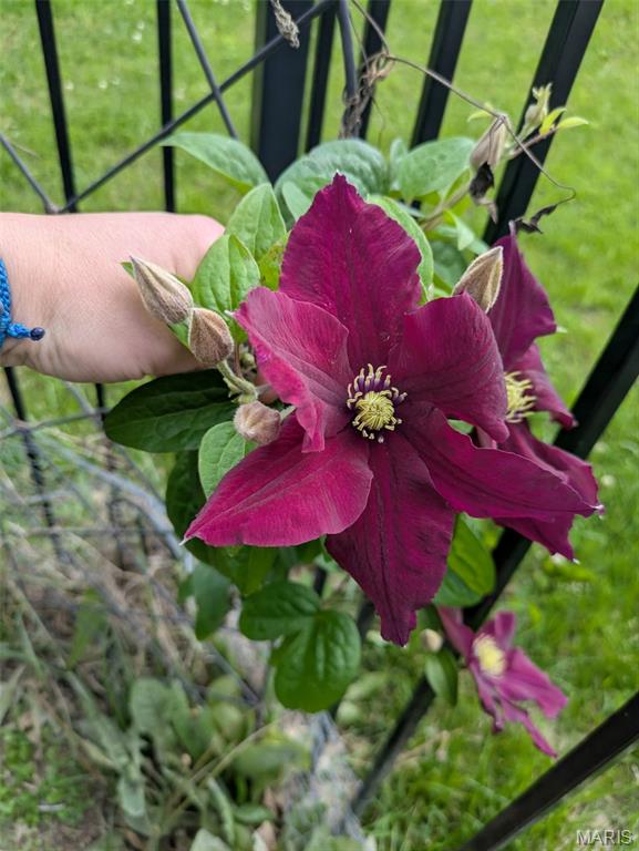 Stonebridge - Residential