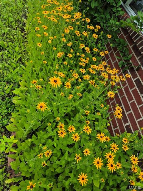 Tiny photo for 394 Parkway Drive, Troy, MO 63379 (MLS # 26021394)