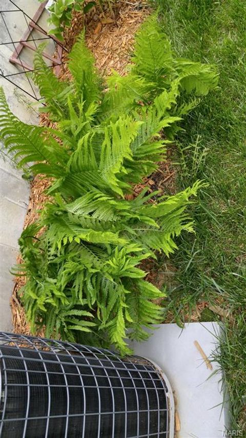 Tiny photo for 394 Parkway Drive, Troy, MO 63379 (MLS # 26021394)