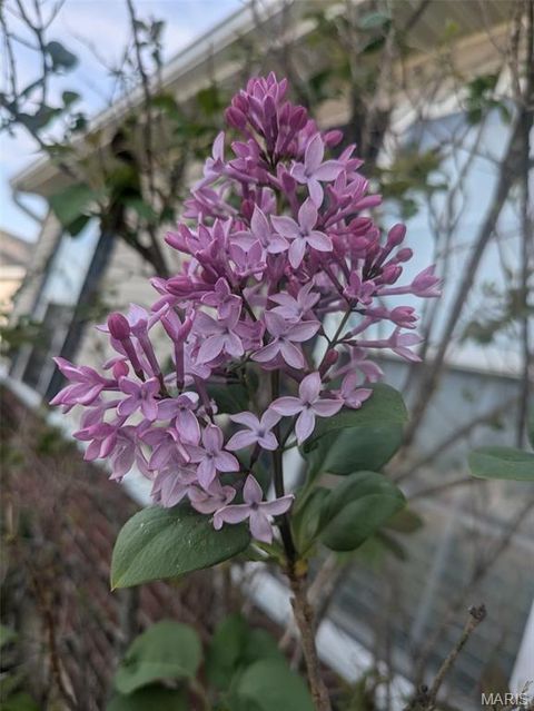 Tiny photo for 394 Parkway Drive, Troy, MO 63379 (MLS # 26021394)