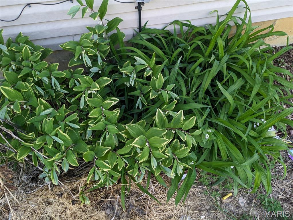 Stonebridge - Residential