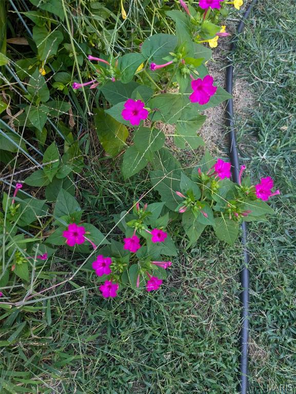 Stonebridge - Residential