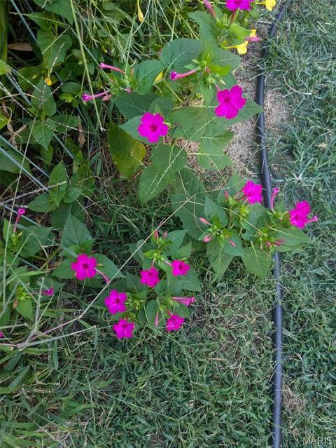 Tiny photo for 394 Parkway Drive, Troy, MO 63379 (MLS # 26021394)