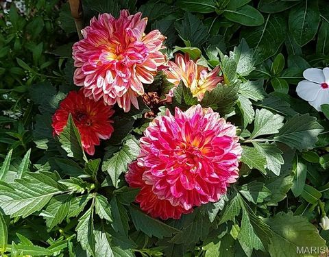 Tiny photo for 394 Parkway Drive, Troy, MO 63379 (MLS # 26021394)