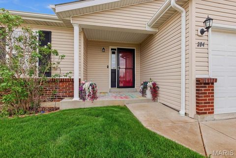 Tiny photo for 394 Parkway Drive, Troy, MO 63379 (MLS # 26021394)