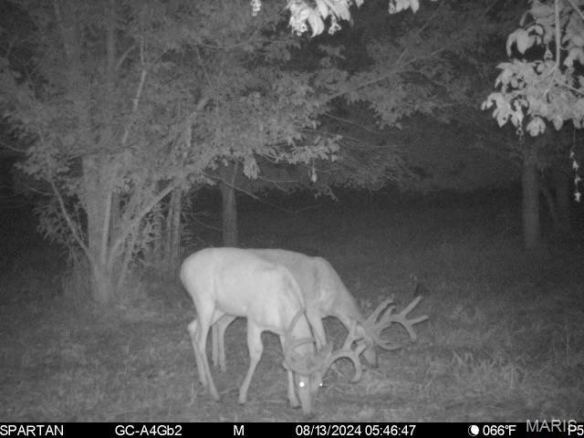 22 Hematite Farms Rd