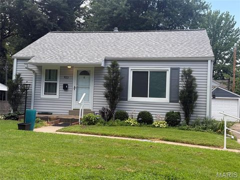 Photo of 923 Tompkins Street, St Charles, MO 63301 (MLS # 26046059)