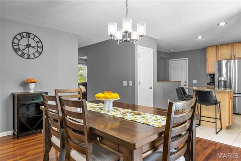 Tiny photo for 1115 Shadowoak Drive, Ballwin, MO 63021 (MLS # 26041565)