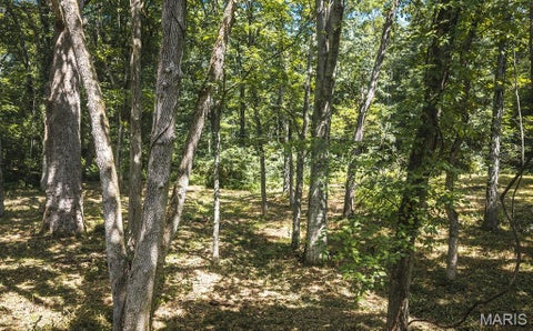Tiny photo for 3107 Bouquet Road, Glencoe, MO 63038 (MLS # 26046980)