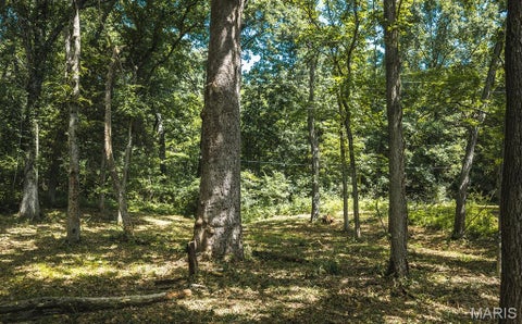 Tiny photo for 3107 Bouquet Road, Glencoe, MO 63038 (MLS # 26046980)