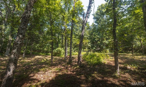 Tiny photo for 3107 Bouquet Road, Glencoe, MO 63038 (MLS # 26046980)