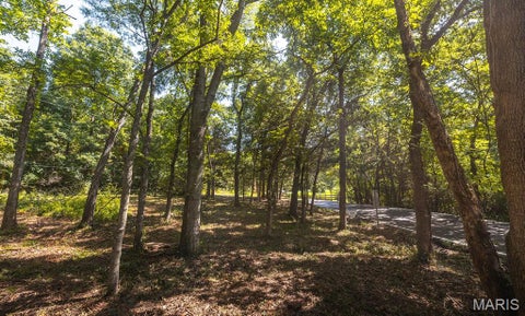 Photo of 3107 Bouquet Road, Glencoe, MO 63038 (MLS # 26046980)