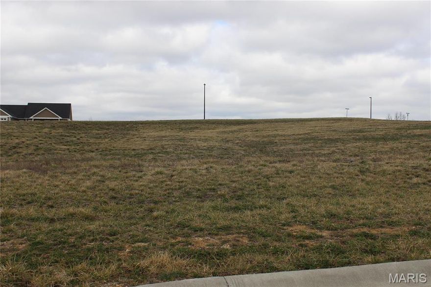 Minnow Creek proudly serves as one of Hannibal Missouri’s newest and most promising subdivisions. Currently,   This ideal location is in close proximity to Hannibal Regional Hospital, other medical facilities, industrial parks, businesses, schools, restaurants and shopping centers. The new subdivision is within the city limits of Hannibal which offers excellent fire and police protection. Sidewalks are an important features in Minnow Creek Subdivision, giving your neighborhood a friendly, walk-able feel where families can more easily exercise while getting to know their neighbors. 

All buyers will be required to sign off on the C & R and the Pool Agreement.  Both are attached to this listing.