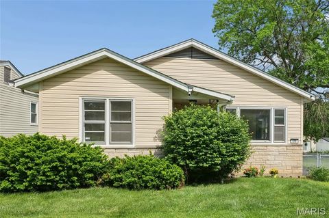 Photo of 630 Bell Avenue, Webster Groves, MO 63119 (MLS # 26027095)