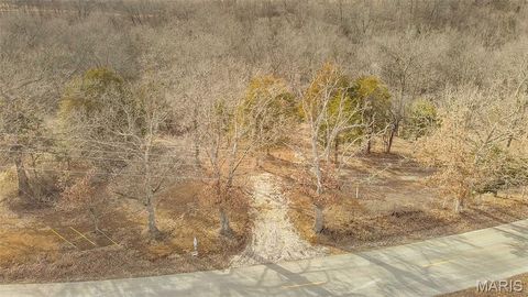 Tiny photo for 179 Sydnorville Rd. - Lot 20, Troy, MO 63379 (MLS # 26006417)