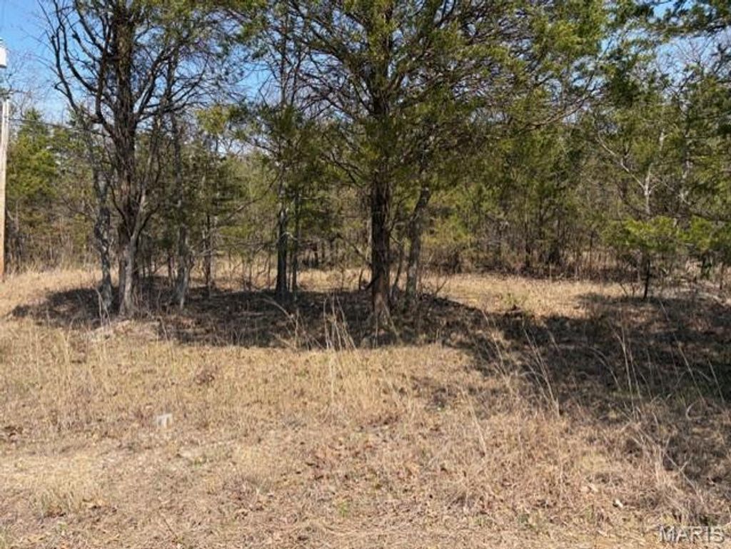 Photo of 18 Monet CT, Bonne Terre, MO 63628 (MLS # 26019620)