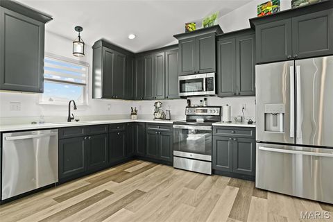 Tiny photo for 40 Mill Point Court, Moscow Mills, MO 63362 (MLS # 26024725)